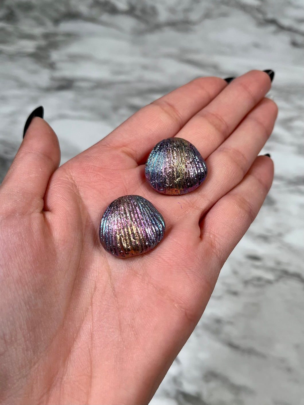 MINI BISMUTH SEASHELL